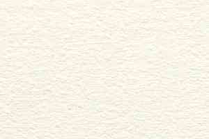 Ковролин Audrey 030 Audrey фото  | FLOORDEALER